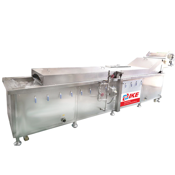 Steam blanching machine for vegetable