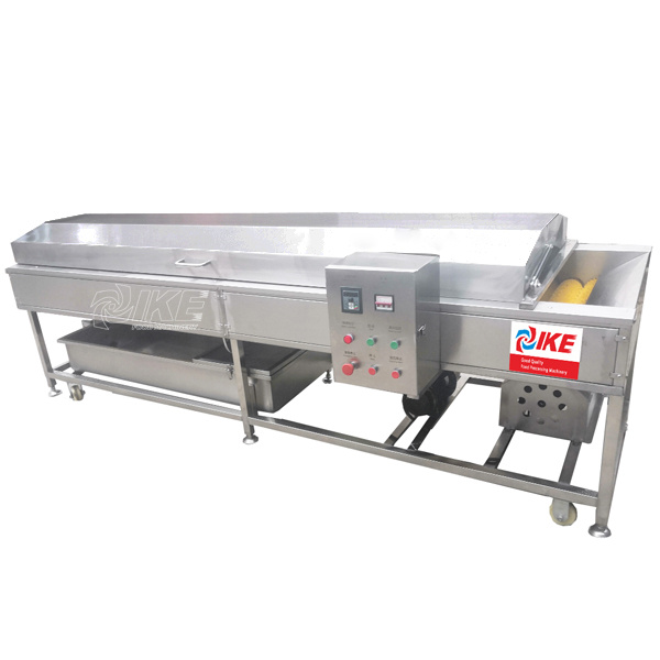 Fruit and Vegetable Washer Machine, Vegetable Washing Machine