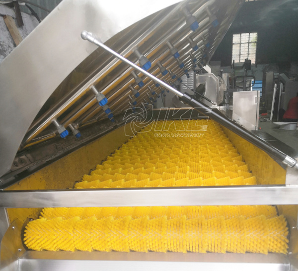 Industrial Fruit Vegetable Washing Machine High Pressure Mango