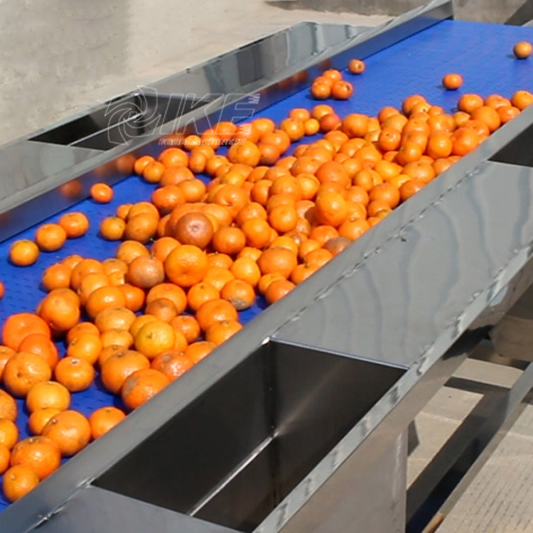 Food Conveyor Belt