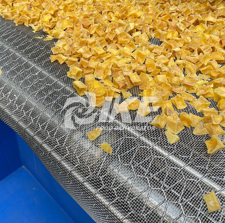 spice drying machinery
