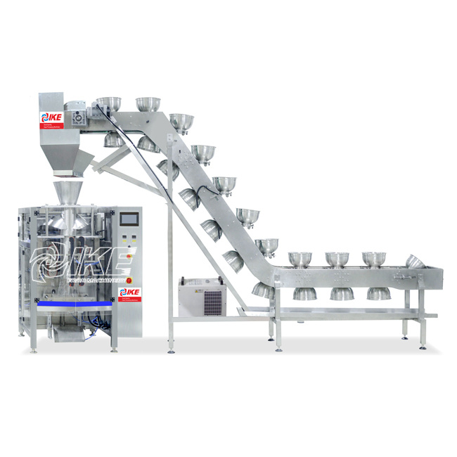 DS-B420B Granular beef jerky packaging machine for candy
