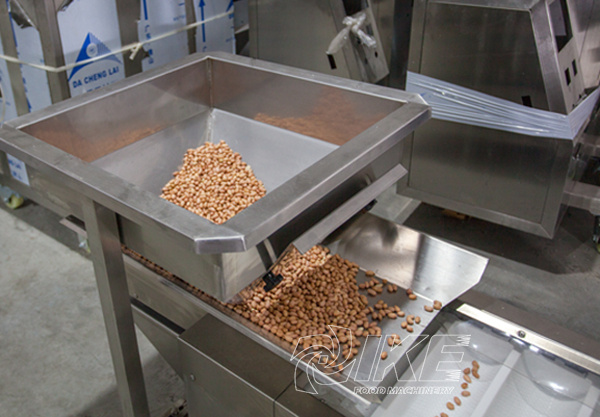 Cashew nut packing machine