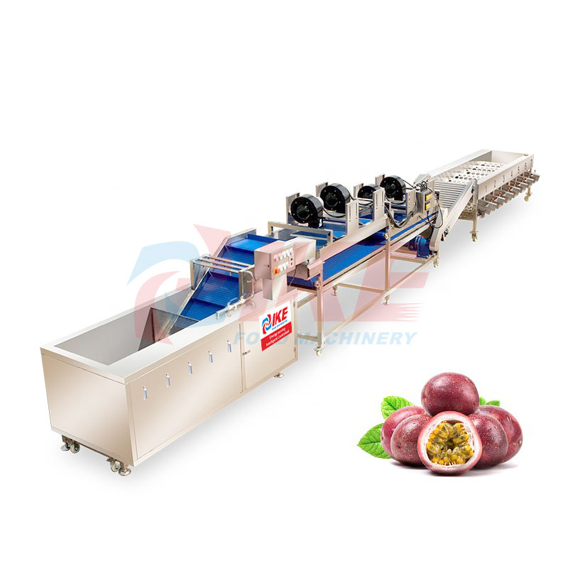 Passion fruit cleaning drying and sorting processing line