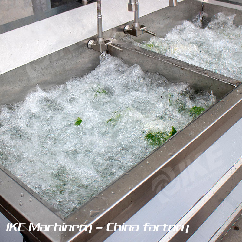 KT-WB150 Lavadora de burbujas de frutas vegetales eficiente para limpiar alimentos