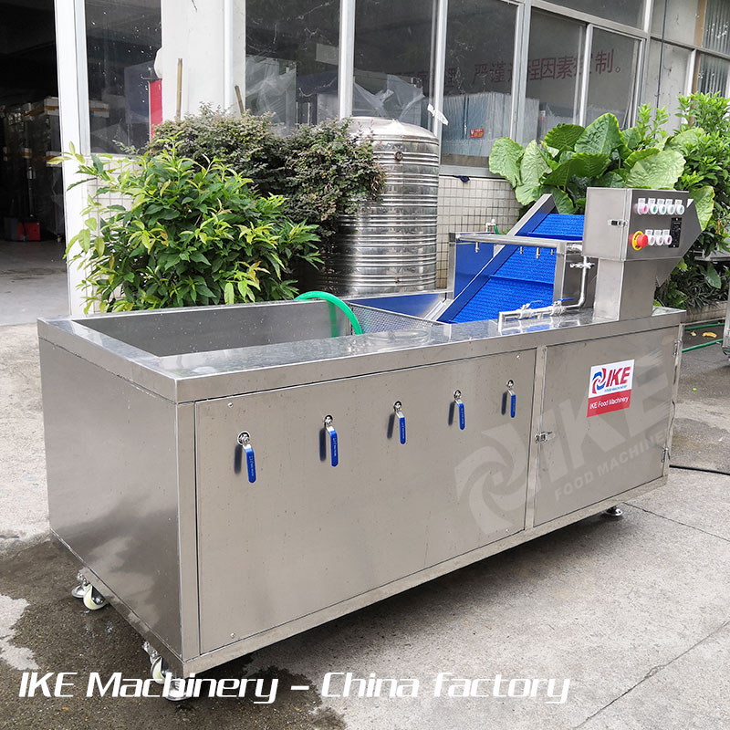 KT-WB200 Electric Cleaning Machine for Leaf Vegetable Fruit with Ozone Disinfection and Bubble Washing Function