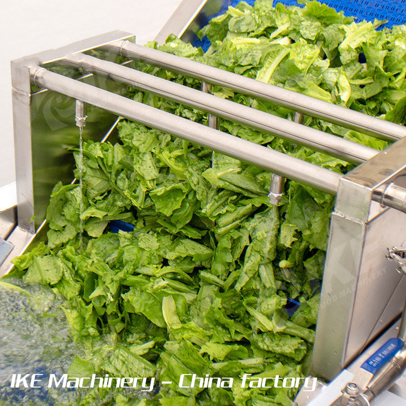 KT-WB200 Electric Cleaning Machine for Leaf Vegetable Fruit with Ozone Disinfection and Bubble Washing Function