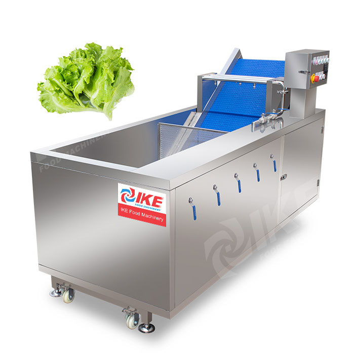 DS-WB260 Electric Cleaning Machine for Leaf Vegetable Fruit with Ozone Disinfection and Bubble Washing Function