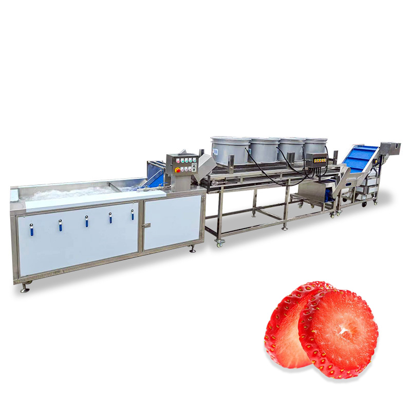 Industrial Automation Strawberry Washing and Slicing Line