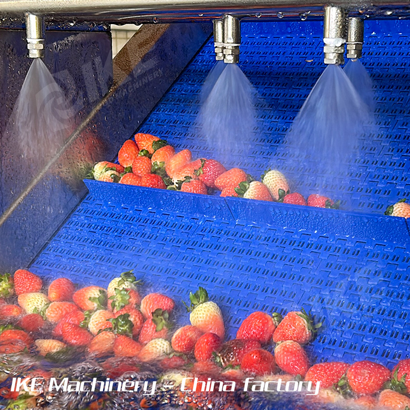 Large Strawberry Washing Machine for Agriculture and Farm Use